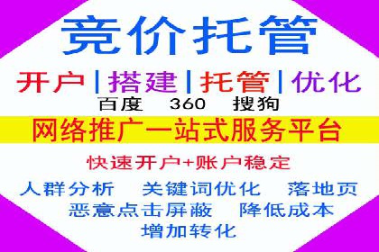 百度竞价排名案例解析：如何快速提升网站流量